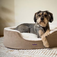 Manhattan Pet Bed